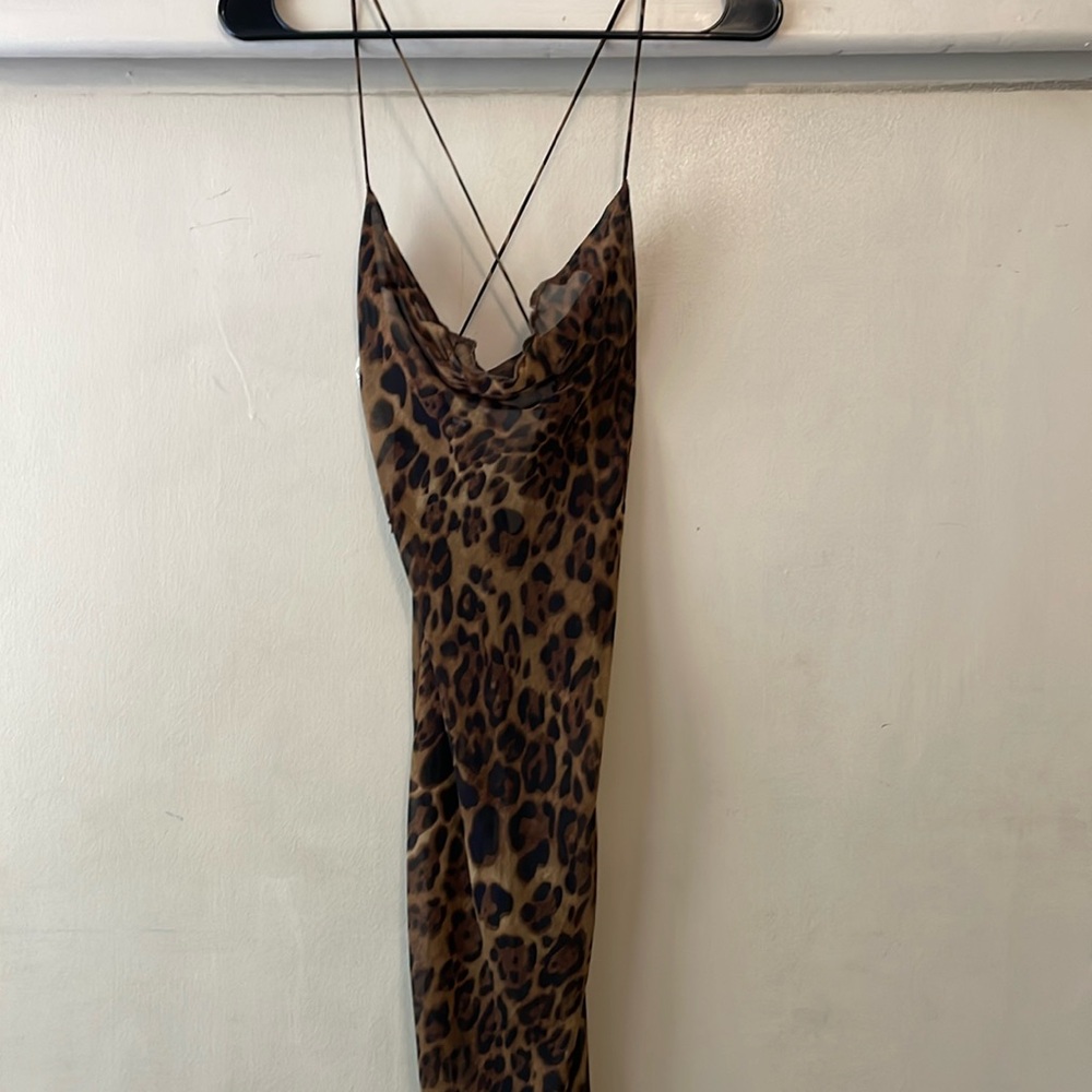 Animal Print Dress